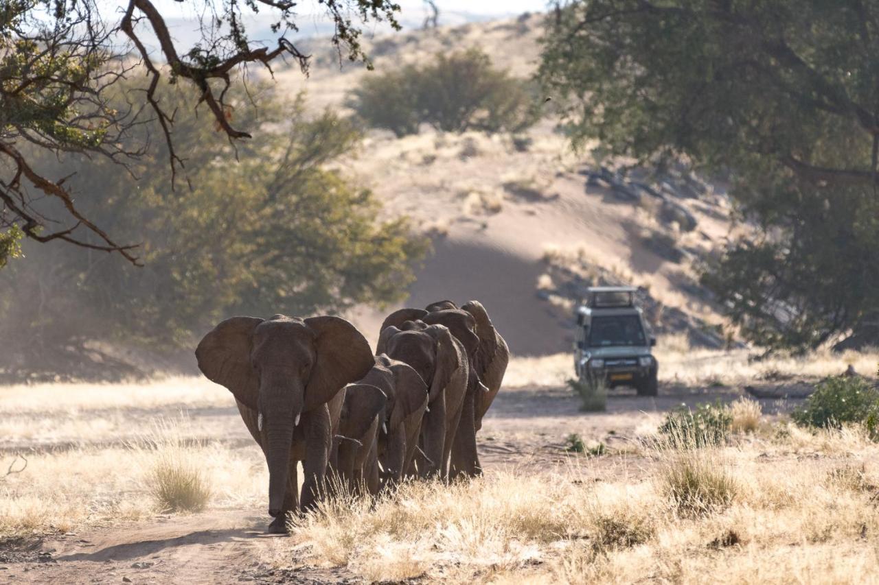 Wilderness Safaris Damaraland Camp Villa Twyfelfontein Exteriör bild